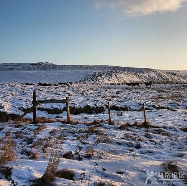 Fluðir Iceland